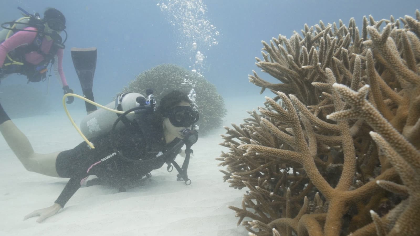 The Granito de Arena dive team working together on the reef